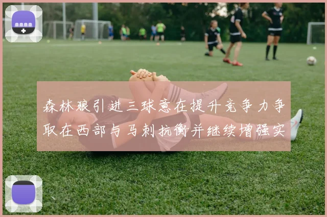 森林狼引进三球意在提升竞争力争取在西部与马刺抗衡并继续增强实力
